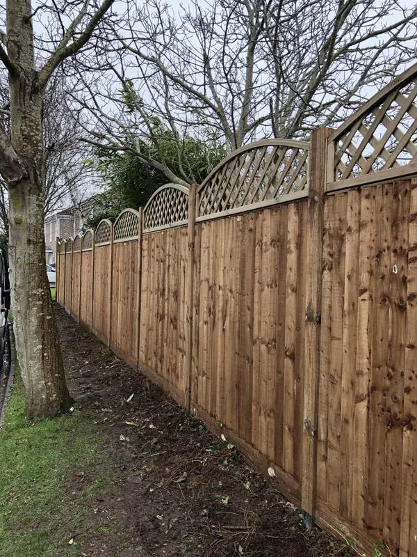 Close board panels with a bow top trellis and wooden posts